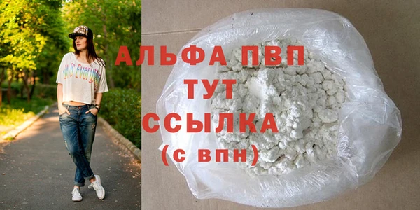 гидра Белокуриха