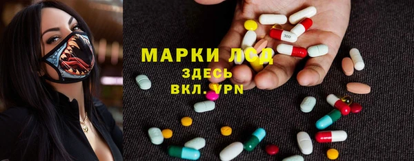 дмт Тайга