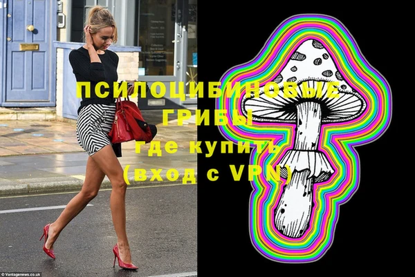 гидра Белокуриха